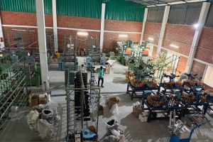 e39cccbb-e273-4086-ac48-b0ac80775f10